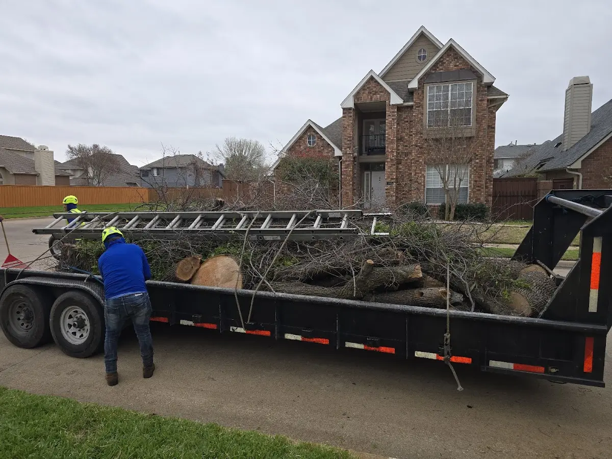 Expert Lot Clearing with proper safety equipment in Raymondville